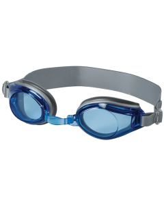 Castaway Swimming Goggles Blue/Sliver