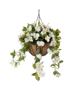 White Hibiscus Hanging Basket