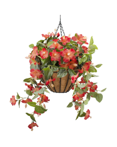 Orange Hibiscus Hanging Basket